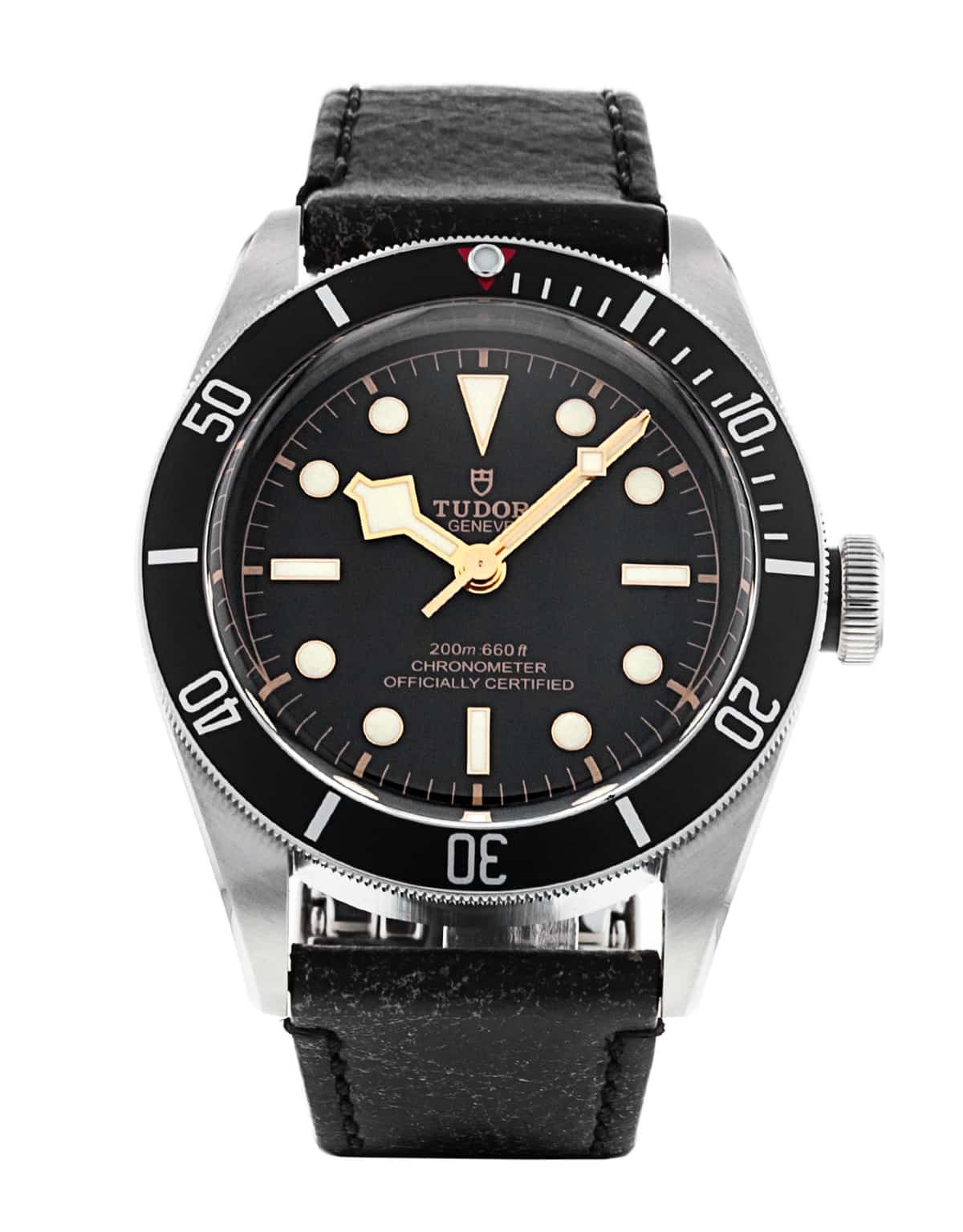 Tudor Heritage Black Bay M79230N-0008